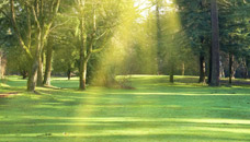 Waite & Son Funeral Home
